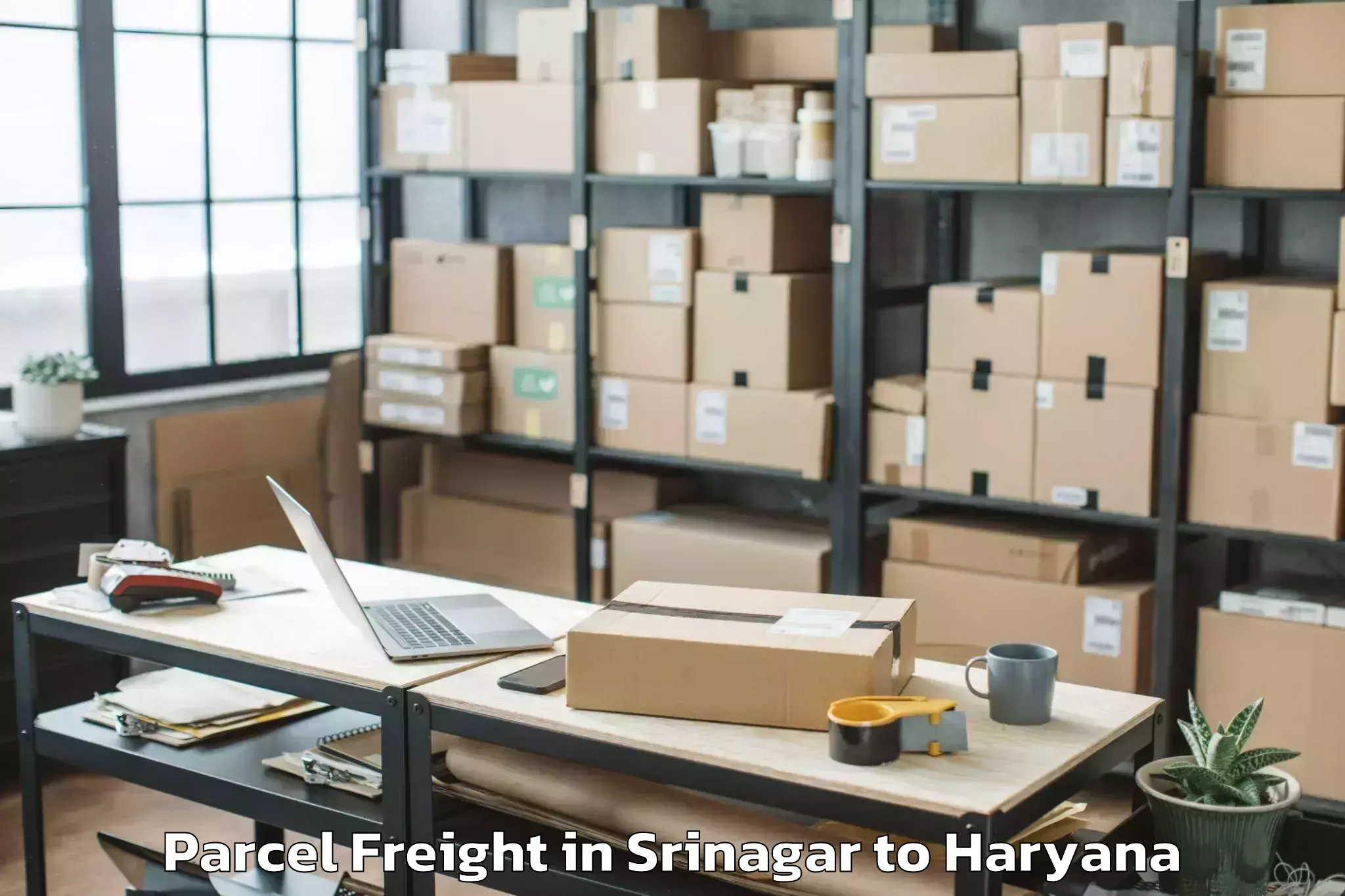 Book Srinagar to Gurugram Parcel Freight Online